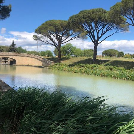 Villa Pintourina Salleles-d'Aude Экстерьер фото