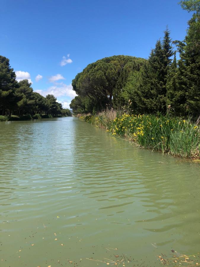 Villa Pintourina Salleles-d'Aude Экстерьер фото